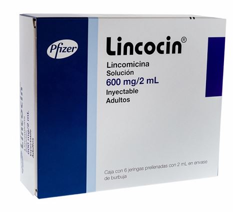 LINCOCIN 600MG JGA PREL6X2ML