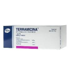 TERRAMICINA OFT UNG 10G