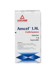 AMCEF IM 1G IM 3 5ML