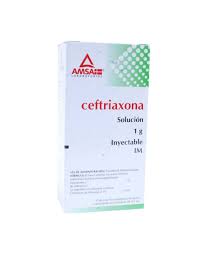 CEFTRIAXONA INY. 1 G. I.M. CAJA C/1 FCO. AMP. Y AMP. C/3.5 ML.