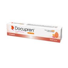 DOCUPREN 1/100G GEL TB 80G